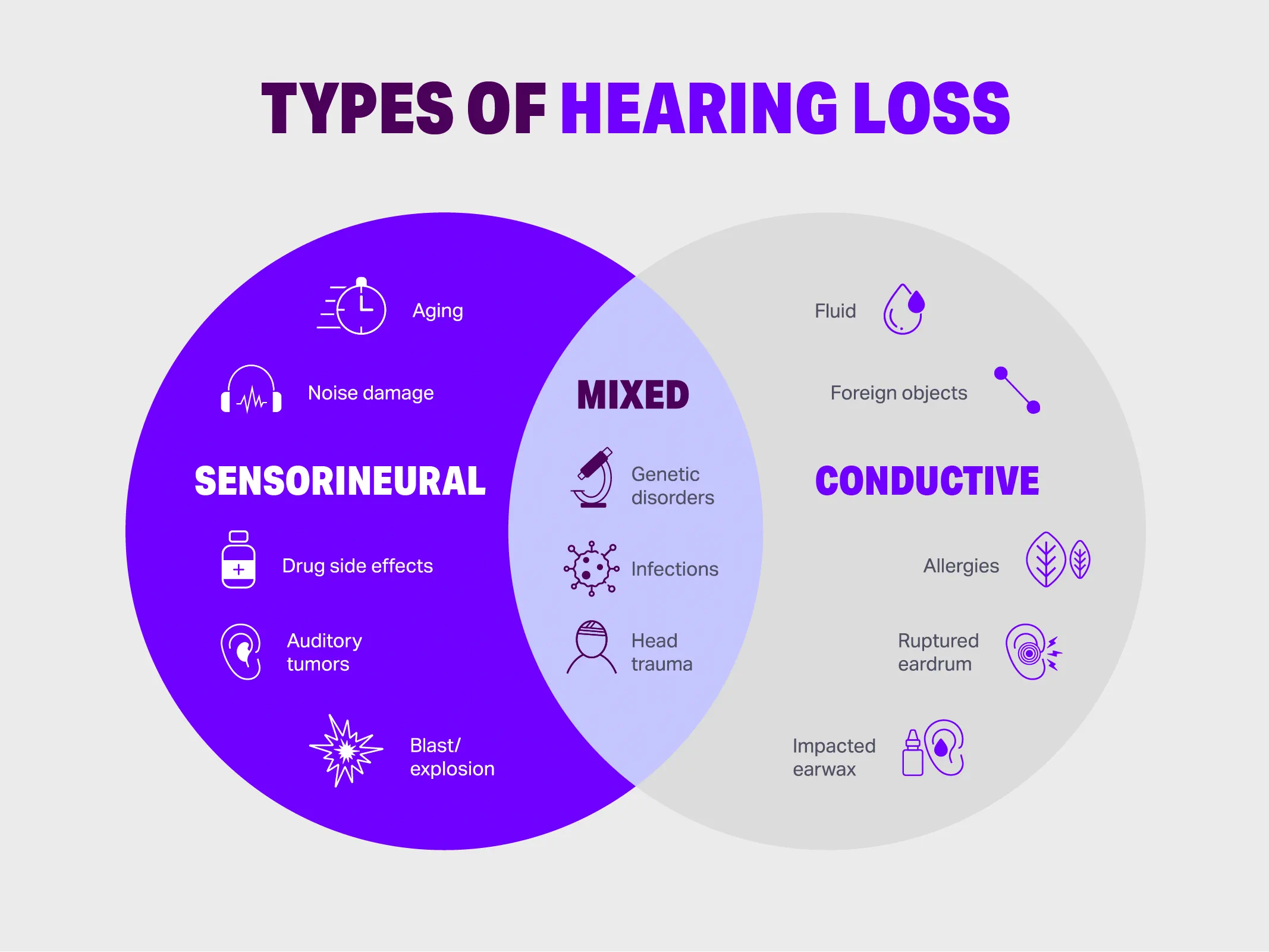 Infographic with a Venn diagram explaining the three types of hearing loss. The left circle highlights sensorineural causes such as aging, noise damage, drug side effects, auditory tumors, and blast injuries. The right circle shows conductive causes including fluid buildup, foreign objects, allergies, ruptured eardrum, and impacted earwax. The overlapping center lists mixed causes such as genetic disorders, infections, and head trauma.