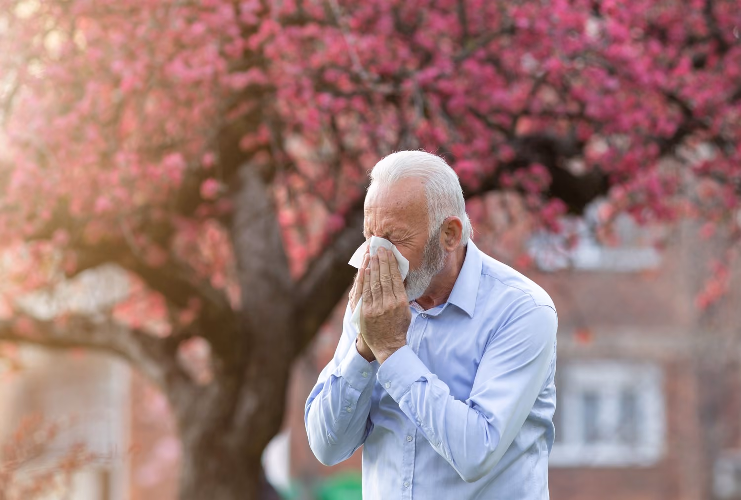 Can Allergies Cause Hearing Loss? | InnoCaption