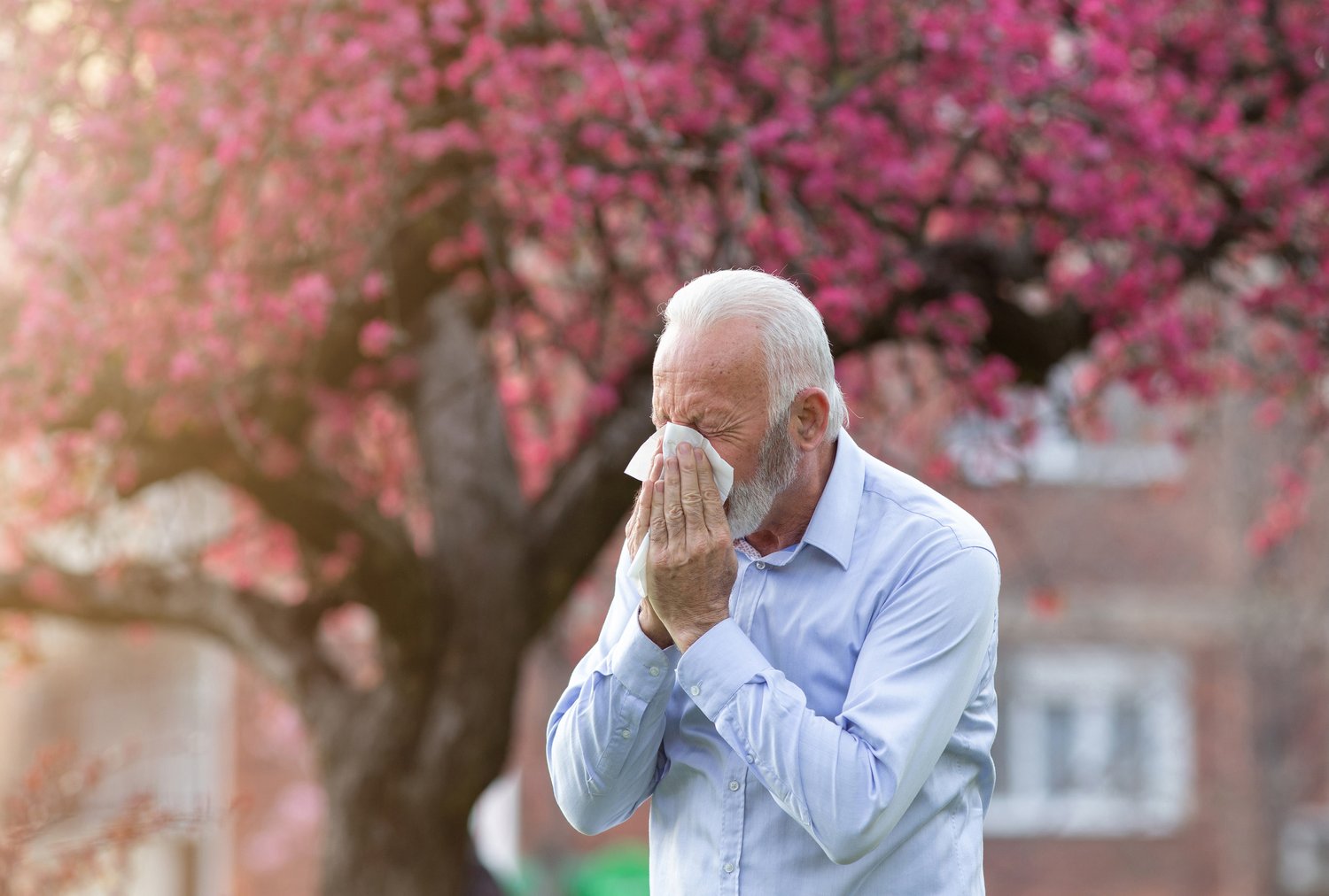 Can Allergies Cause Hearing Loss? | InnoCaption