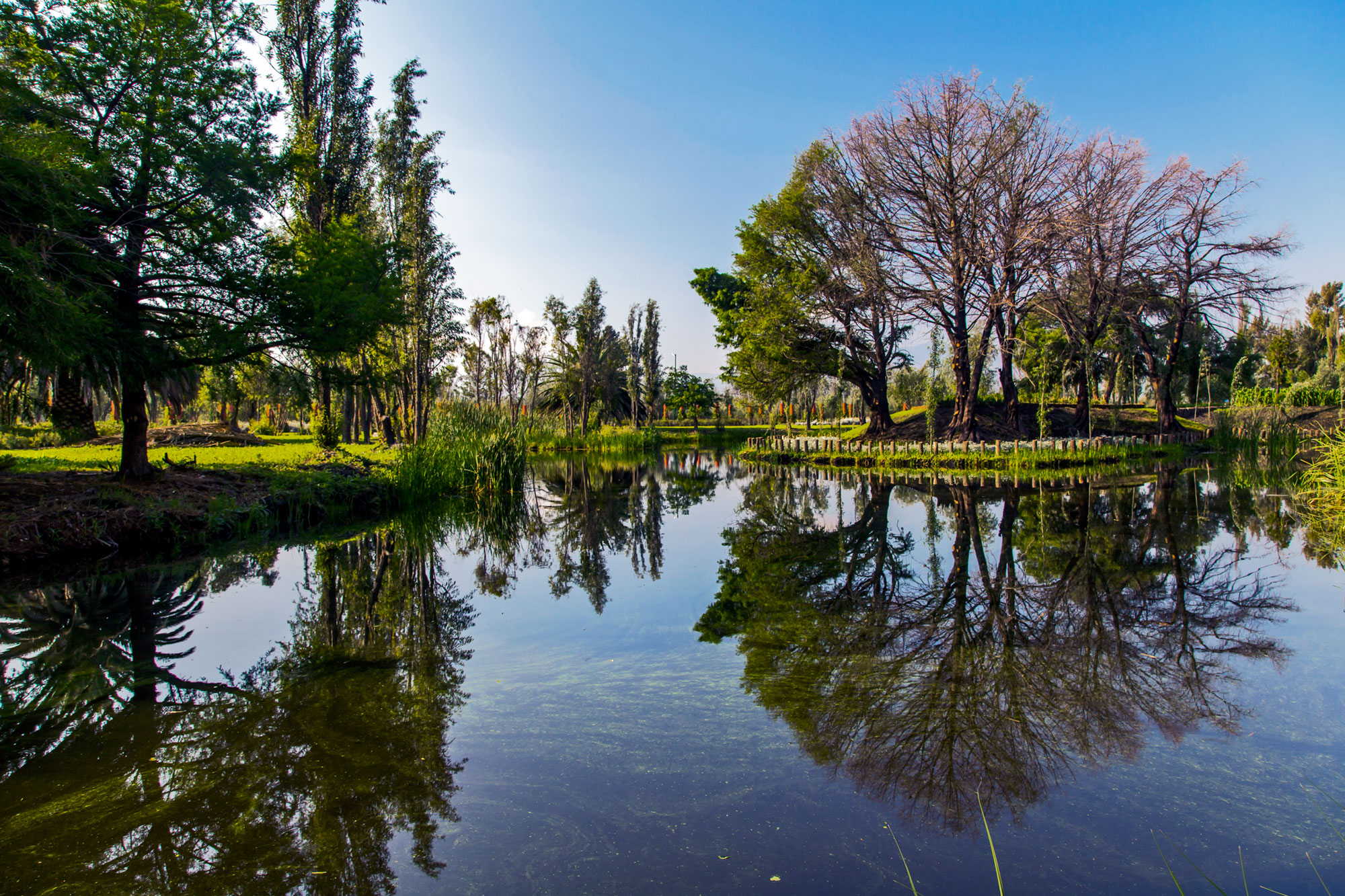 Parque Ecológico de Xochimilco