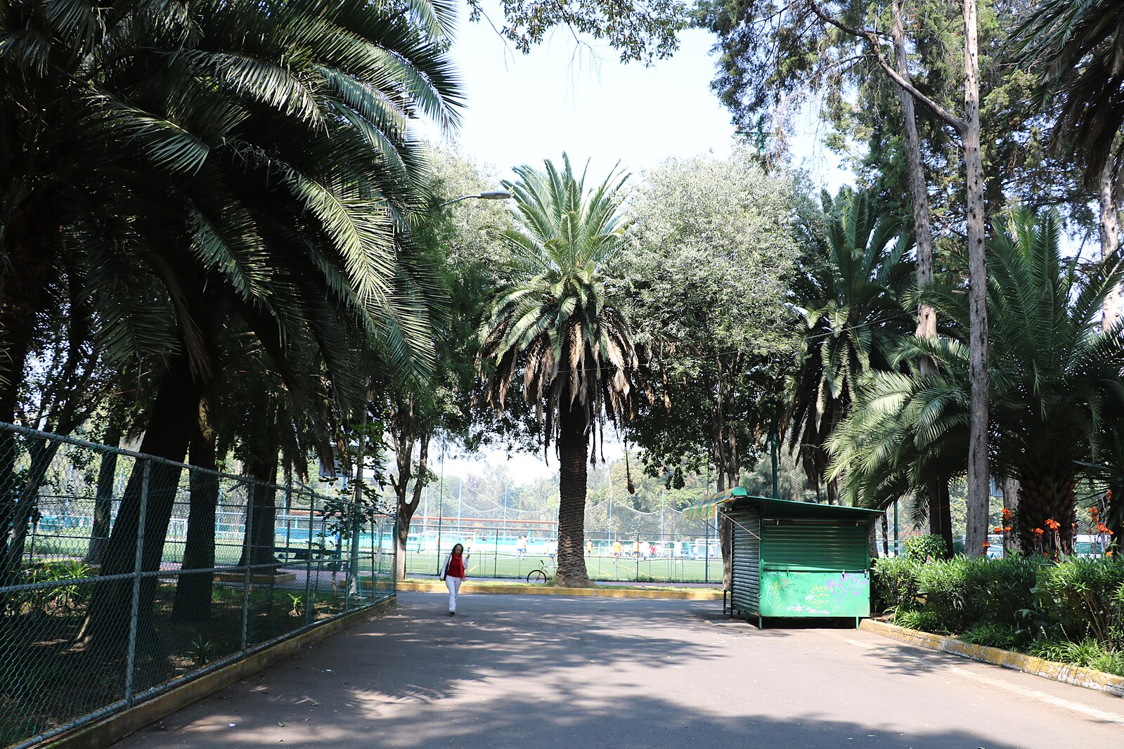 Interior del Deportivo Xochimilco