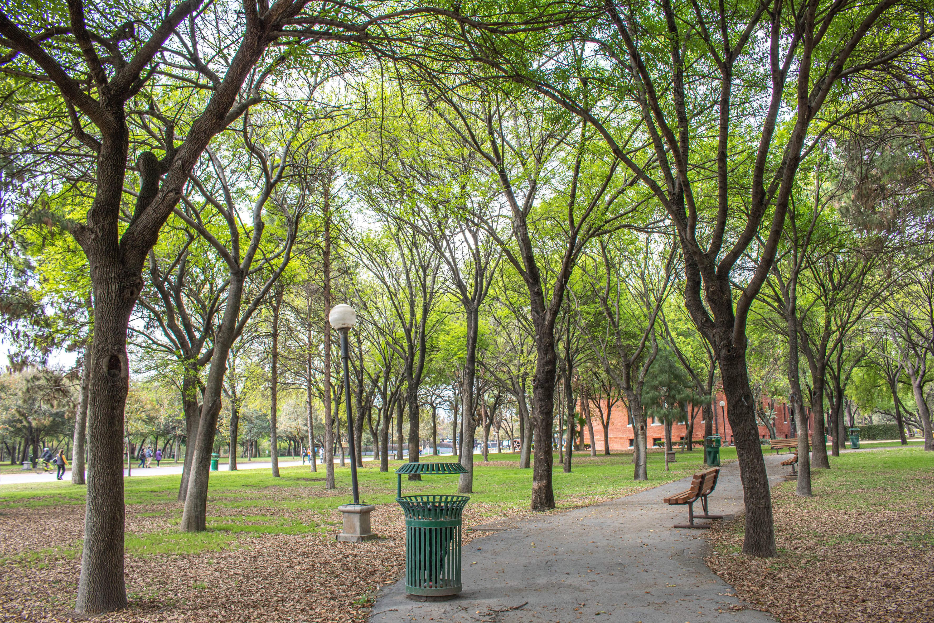Sendero arbolado dentro de Parque Fundidora en Monterrey