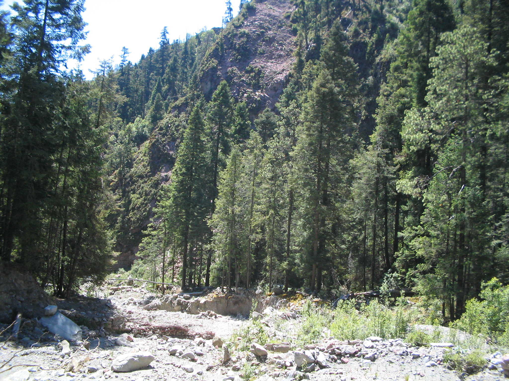 Cañada boscosa del Parque Nacional La Malinche en Tlaxcala