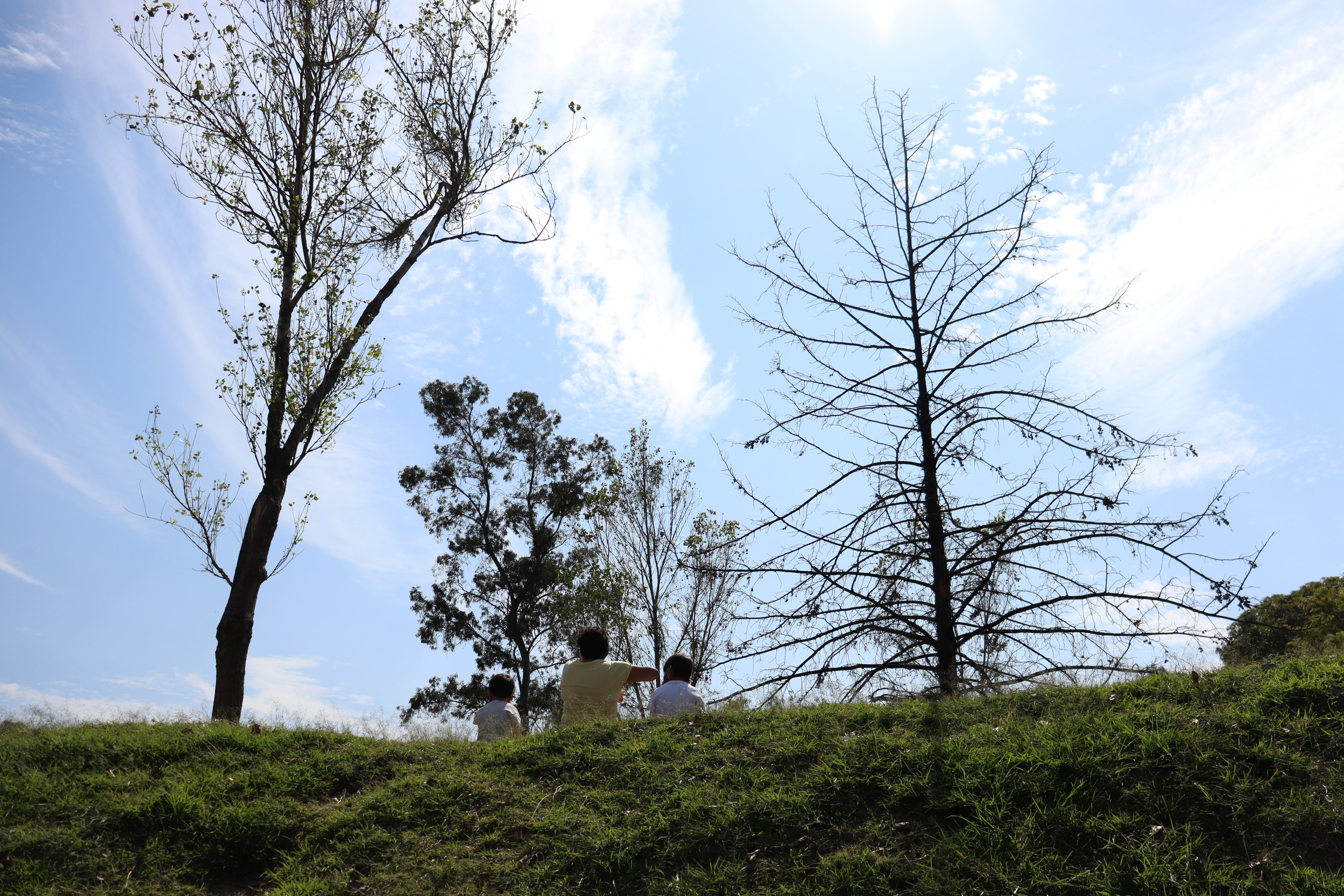 Área verde del Parque Ecológico Revolución Mexicana en Puebla