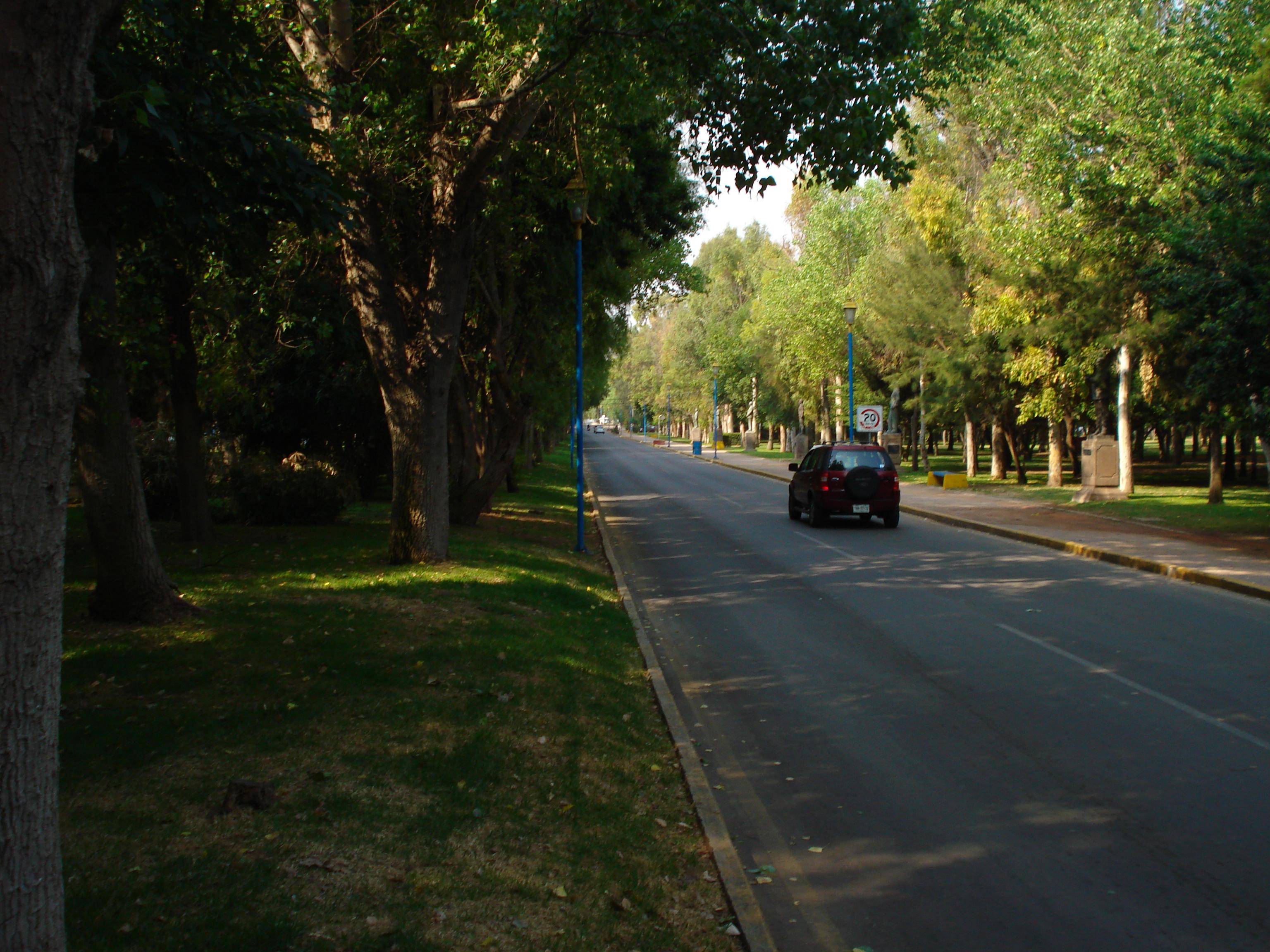 Camino arbolado dentro del Parque Tangamanga I en San Luis Potosí