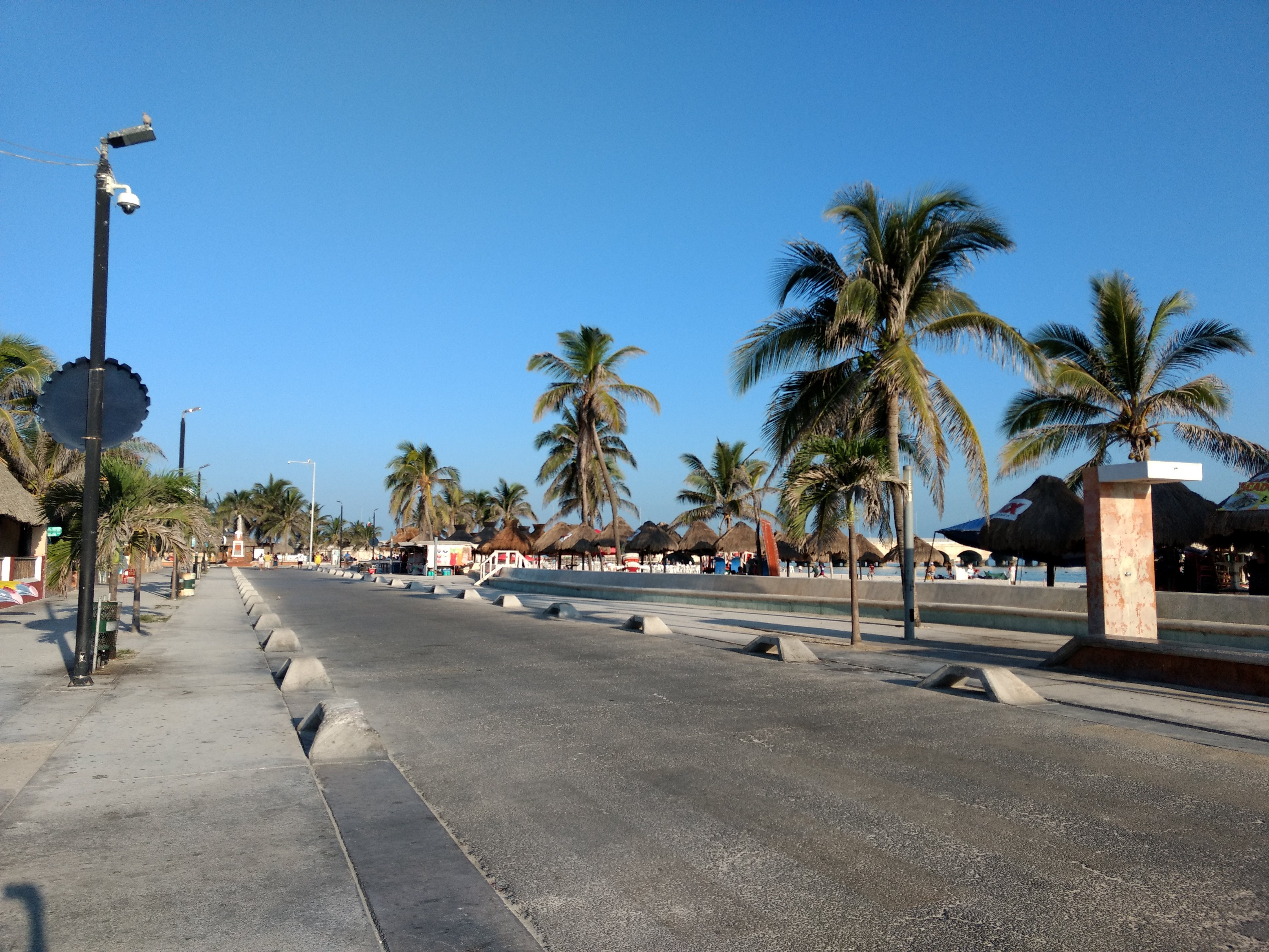 Paseo costero y avenida con palmeras en el Malecón Internacional de Progreso, Yucatán.