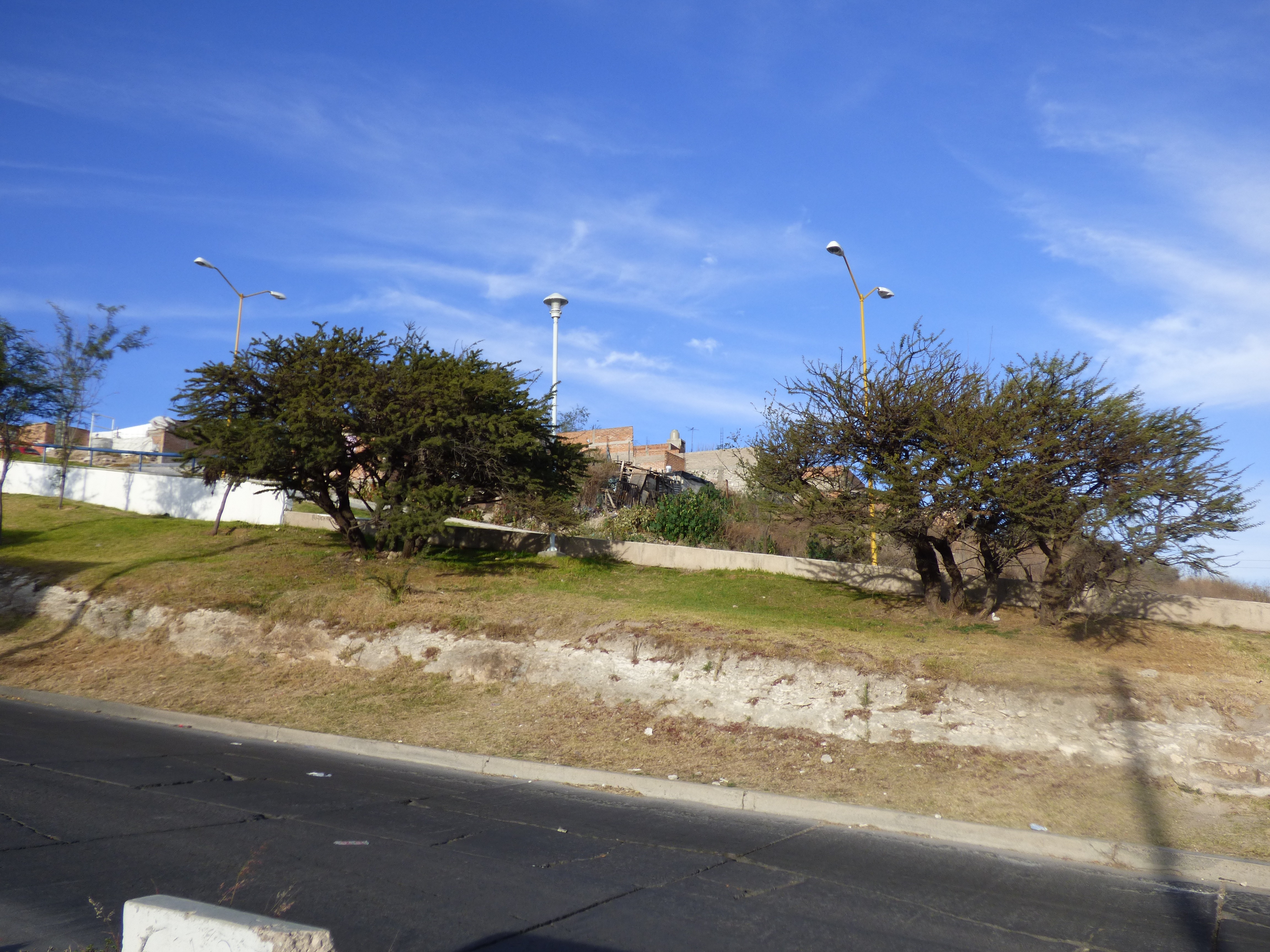 Área verde del corredor Línea Verde en el sector Rodolfo Landeros de Aguascalientes.