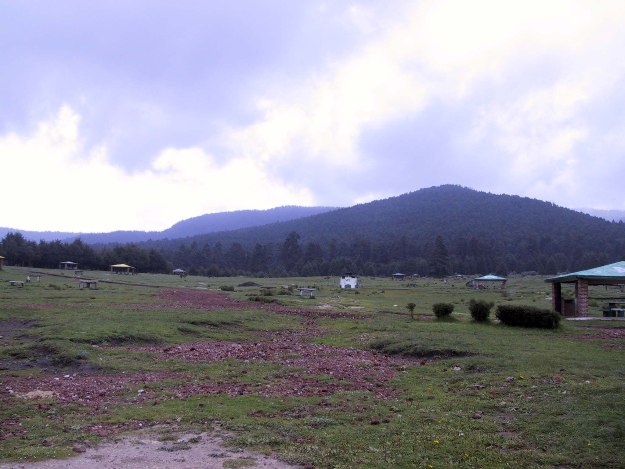 Pradera y bosque montañoso en los valles de La Marquesa, Estado de México.