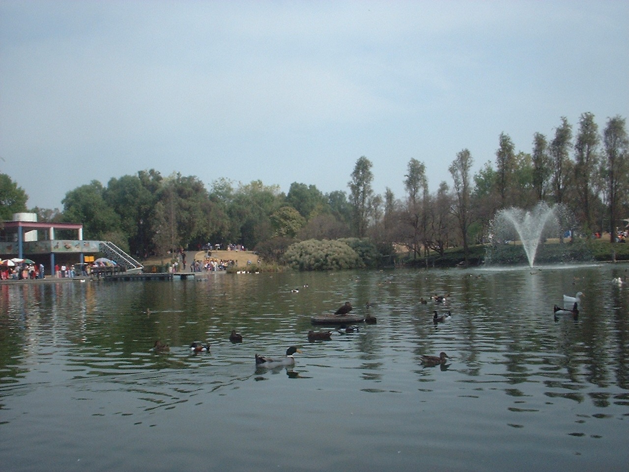 Lago con aves, fuente y arbolado del Parque Tezozómoc, en Azcapotzalco.