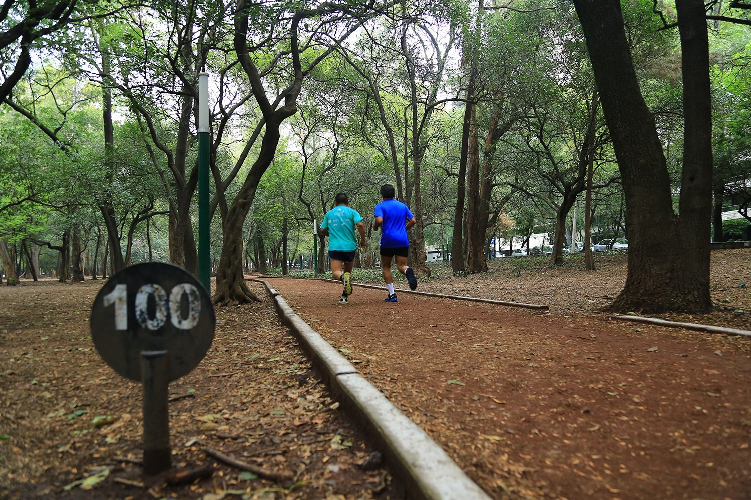 Dos corredores sobre la pista de arcilla del Circuito Gandhi, entre árboles y una marca de distancia.