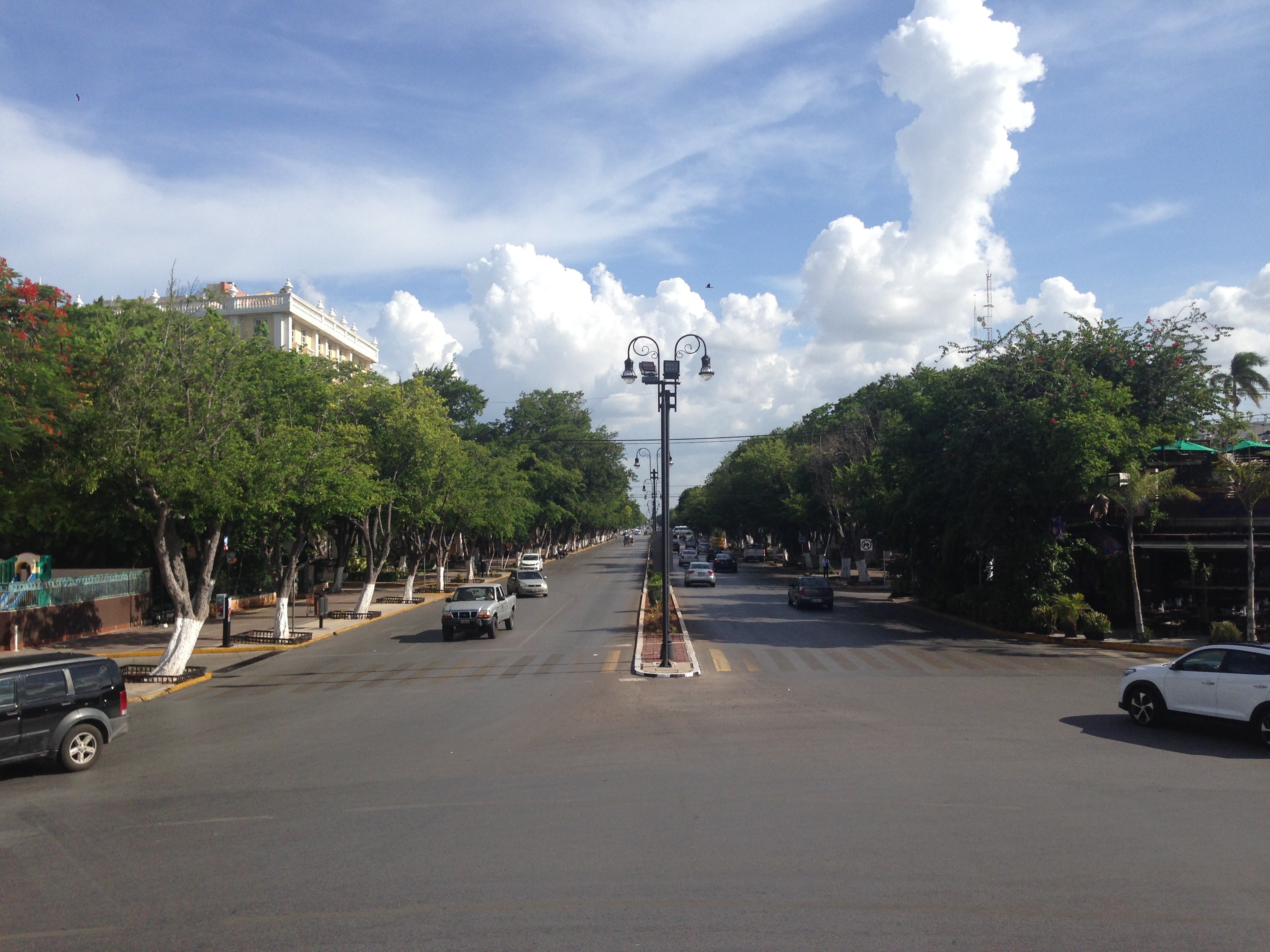 Paseo de Montejo visto hacia el sur desde el Monumento a la Patria, con arbolado y edificios a ambos lados.