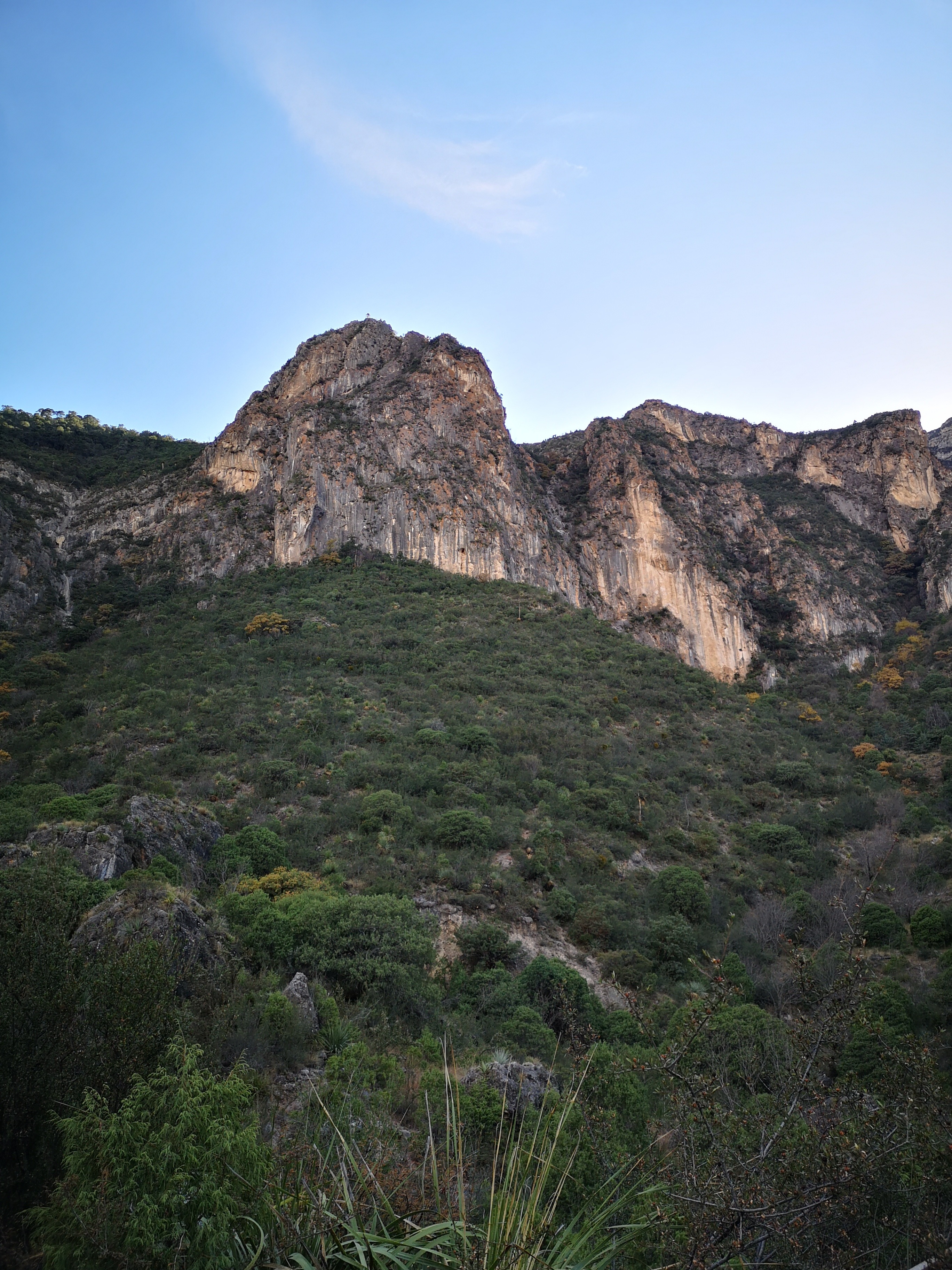 Paredes rocosas y vegetación del Cañón de San Lorenzo, en Saltillo, Coahuila.