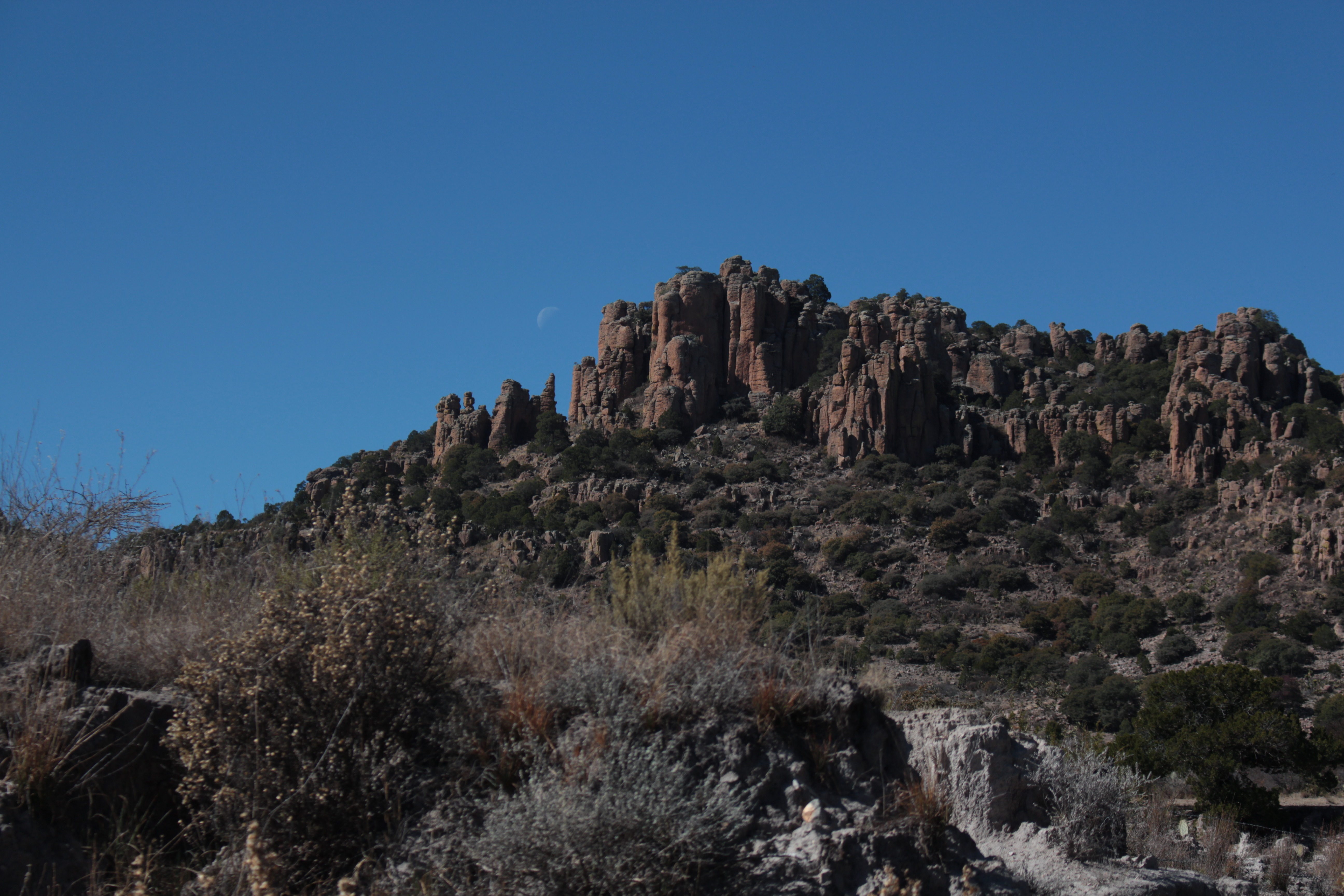 Columnas rocosas y vegetación de la Sierra de Órganos, Zacatecas, bajo cielo despejado.