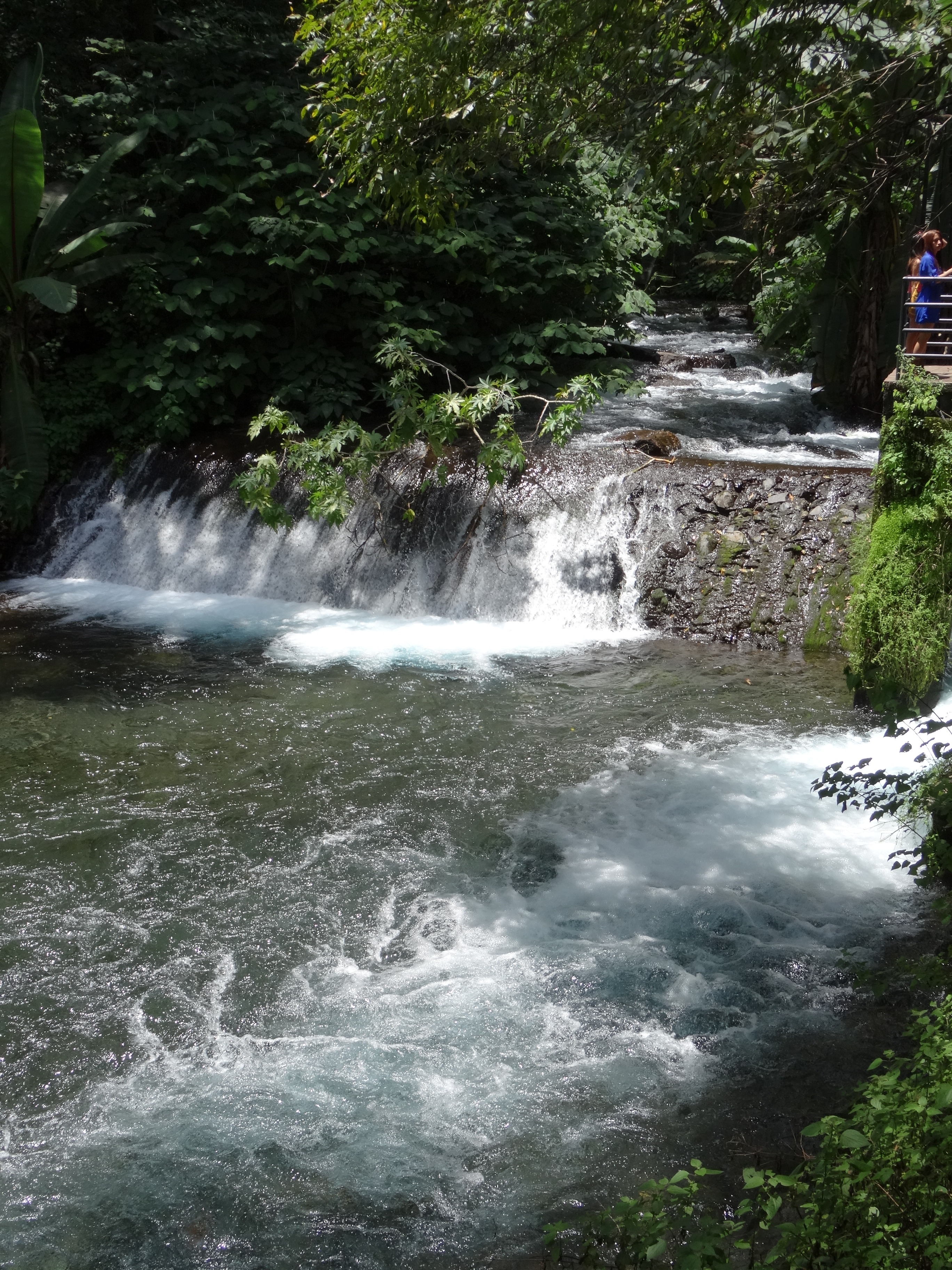 Cascadas del río Cupatitzio junto a vegetación y un sendero con barandal, en Uruapan.