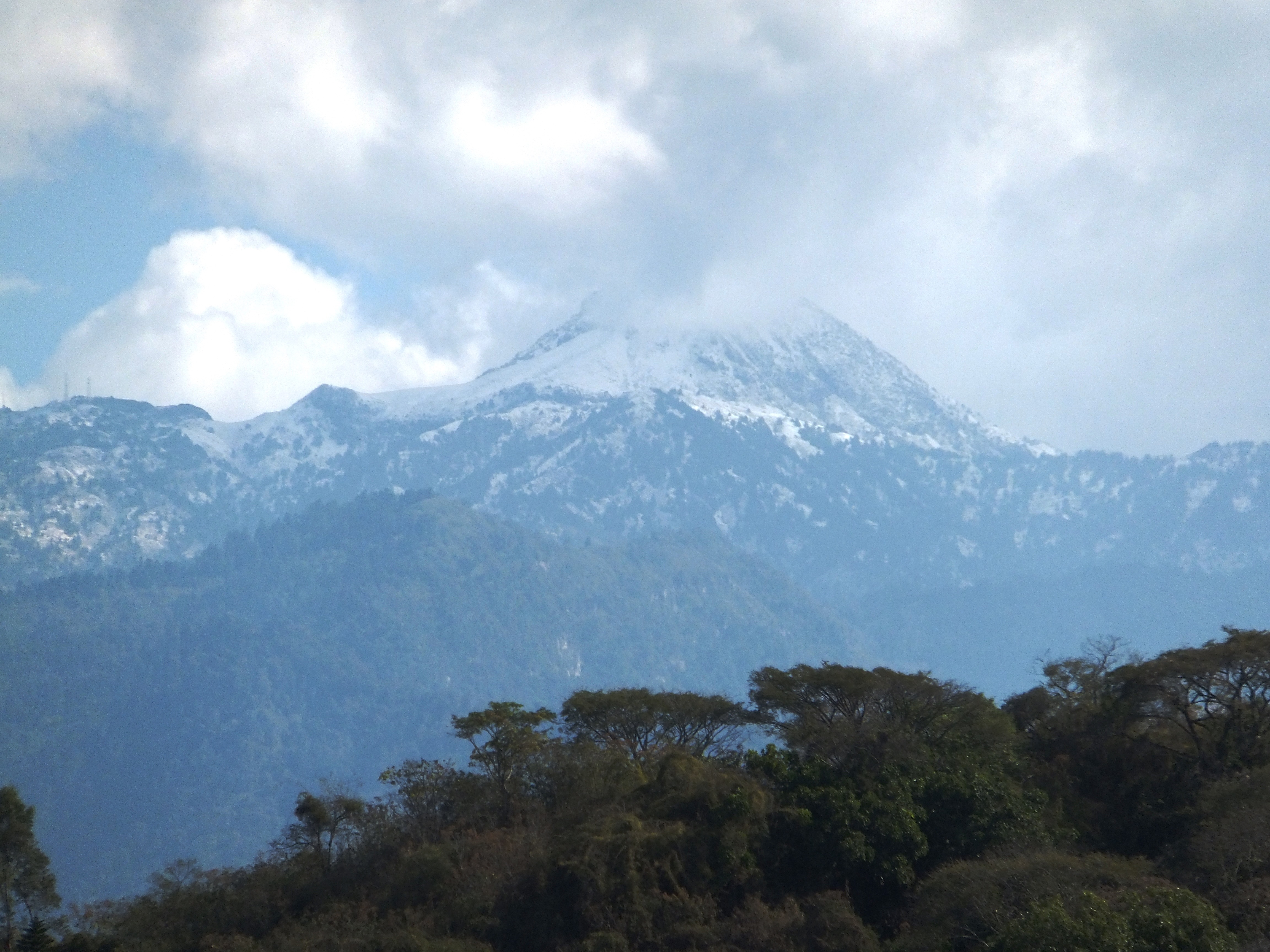 Nevado de Colima con nieve en la parte alta y bosque en sus laderas, fotografiado en 2013.