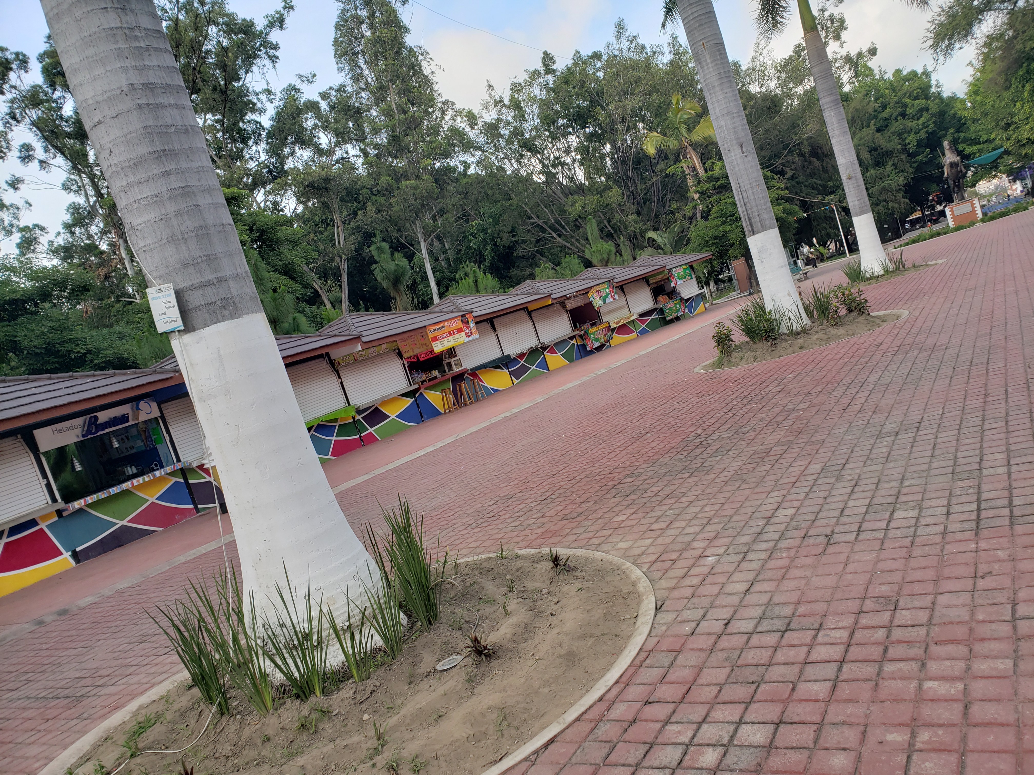 Andador de ladrillo, palmeras y puestos dentro del Parque La Loma, en Tepic.