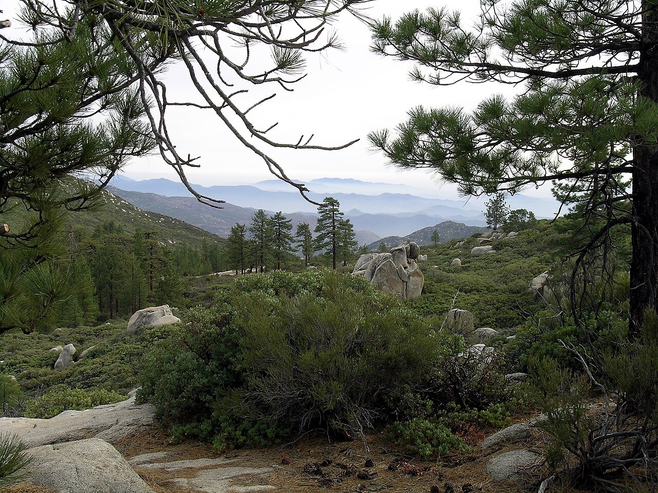 Pinares y rocas de granito en la Sierra de San Pedro Mártir, con montañas hacia el oeste.