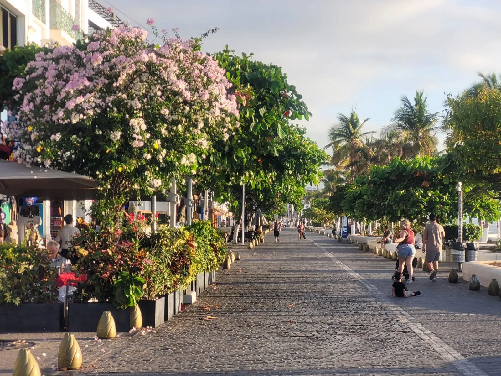 Paseo peatonal del Malecón de Puerto Vallarta con palmeras, visitantes y comercios del centro.