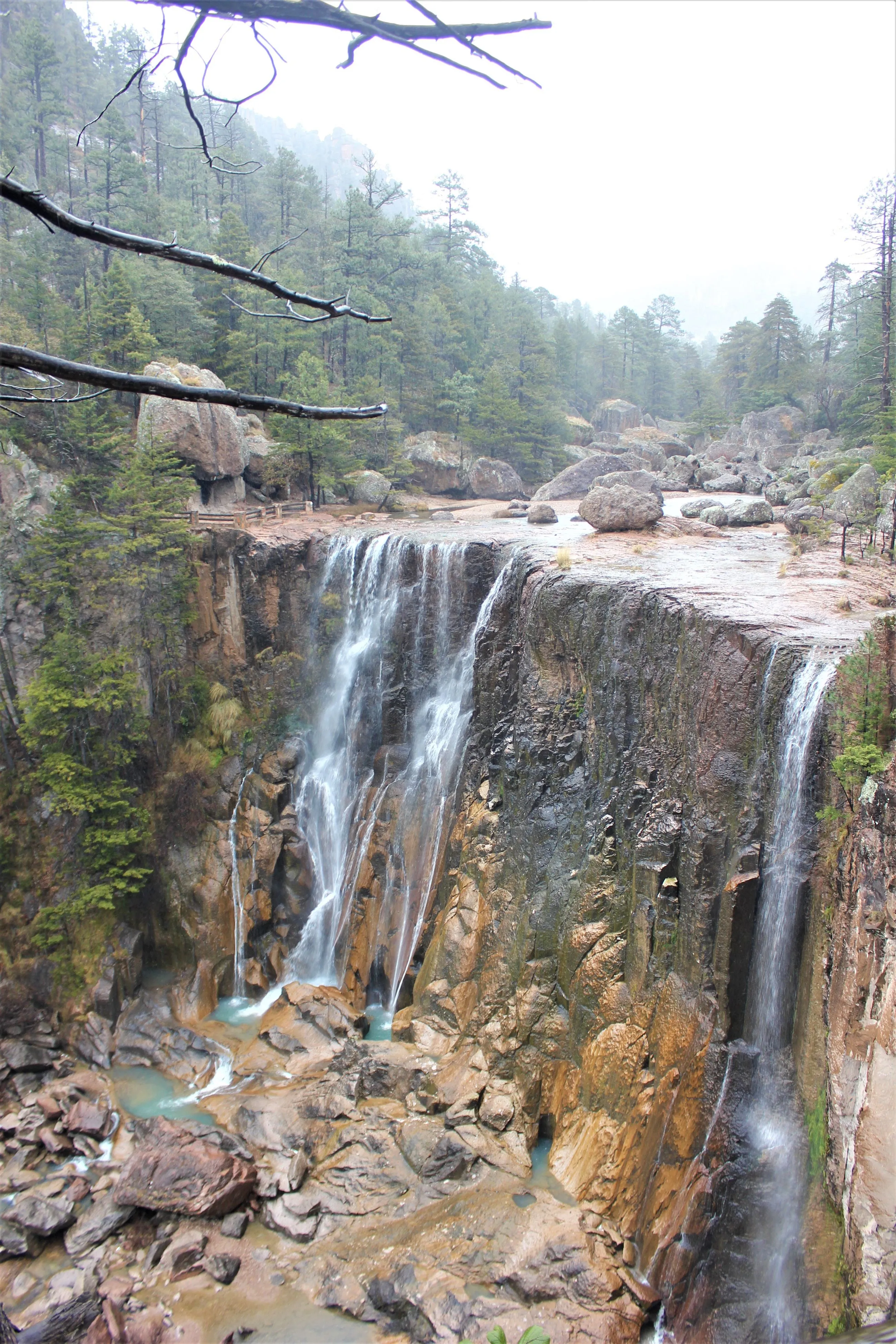 Cascada de Cusárare sobre un frente rocoso rodeado de bosque de pinos.