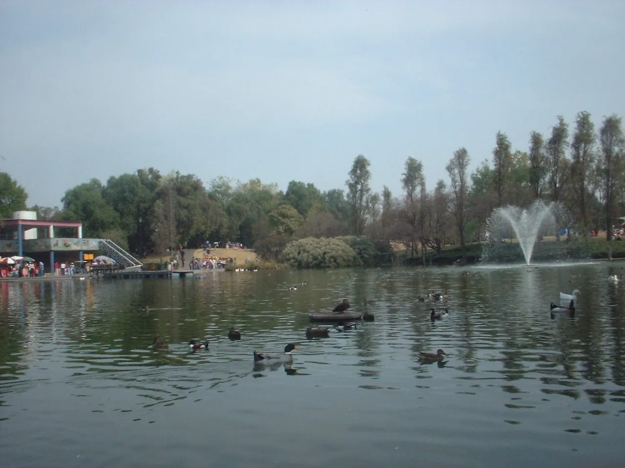 Lago con aves, fuente y arbolado del Parque Tezozómoc, en Azcapotzalco.