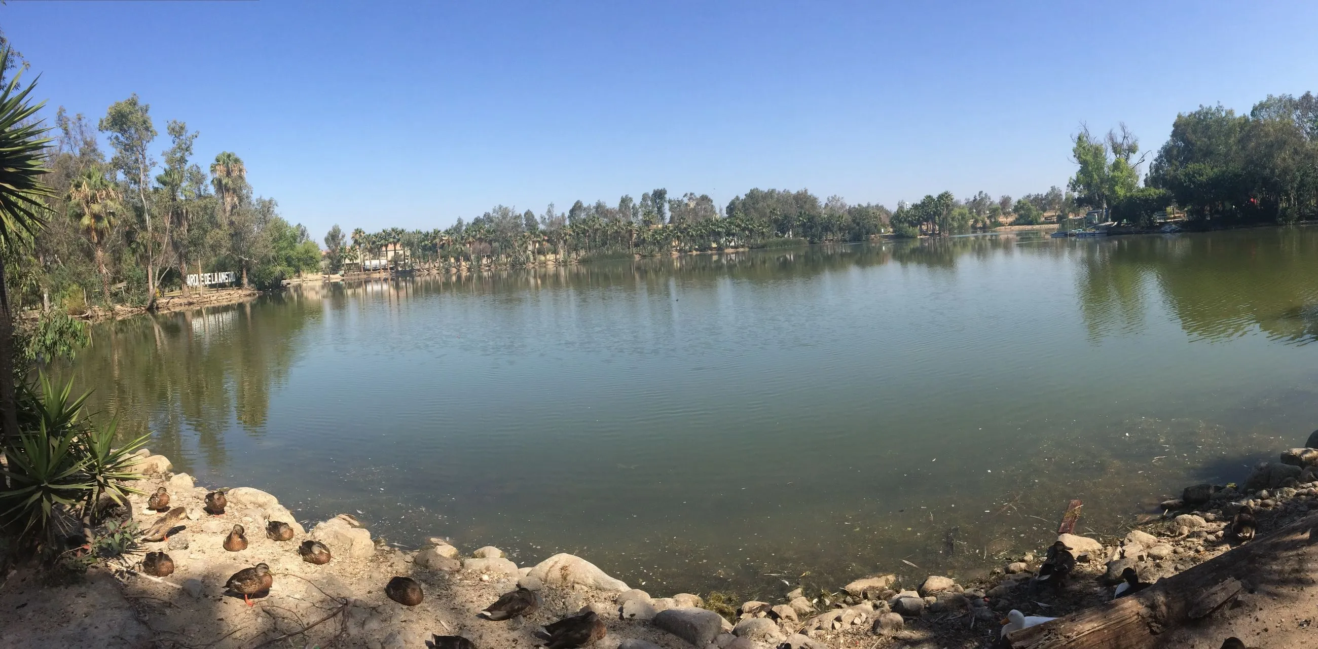 Lago y vegetación del Parque de la Amistad en Tijuana.