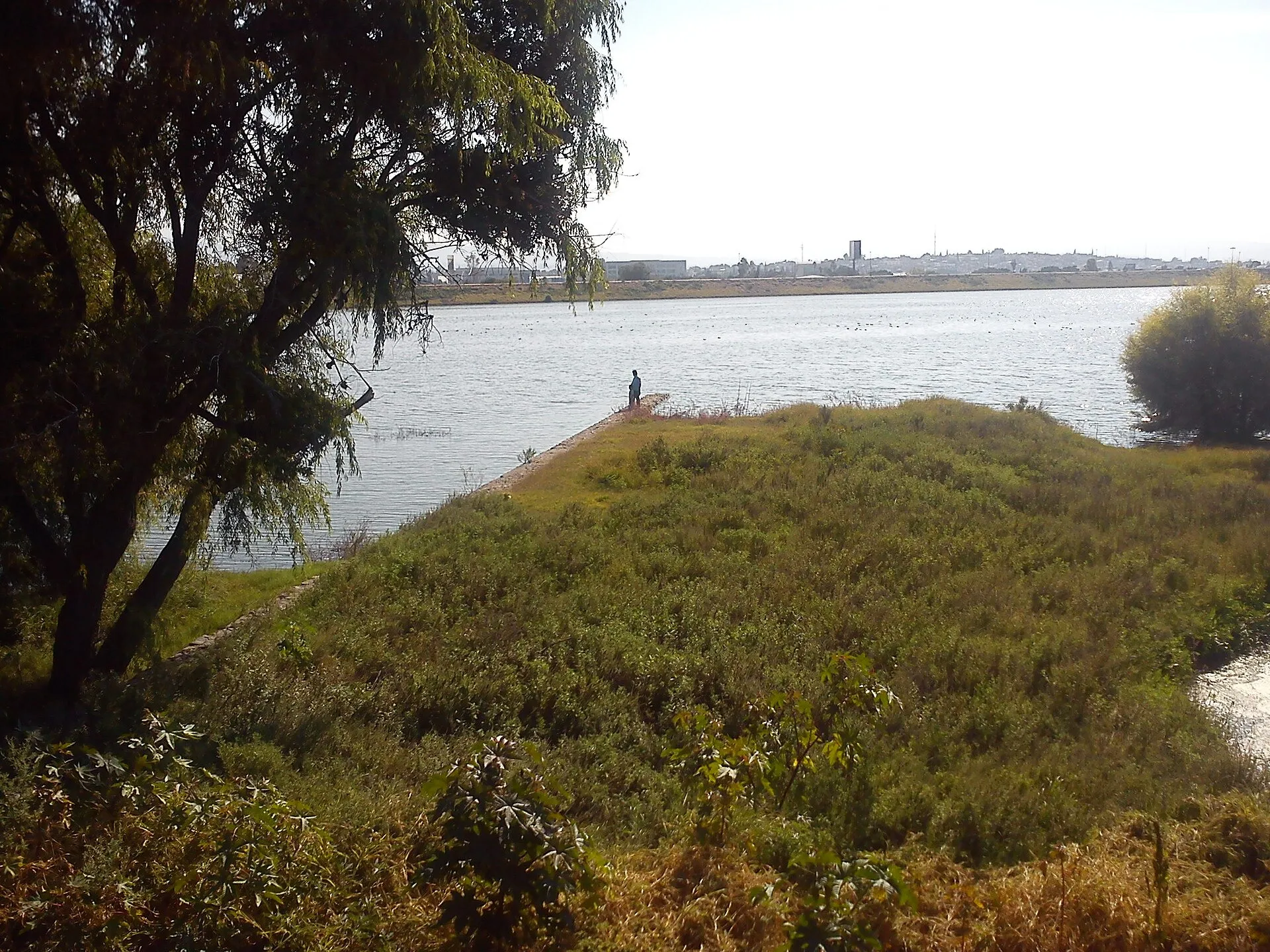 Lago y vegetación de la orilla en el Parque Querétaro 2000 de Santiago de Querétaro.