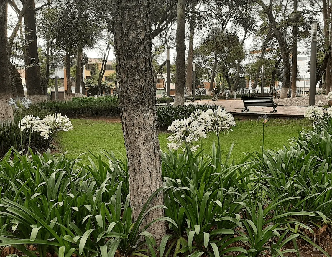 Parque Cuauhtémoc Alameda en Toluca