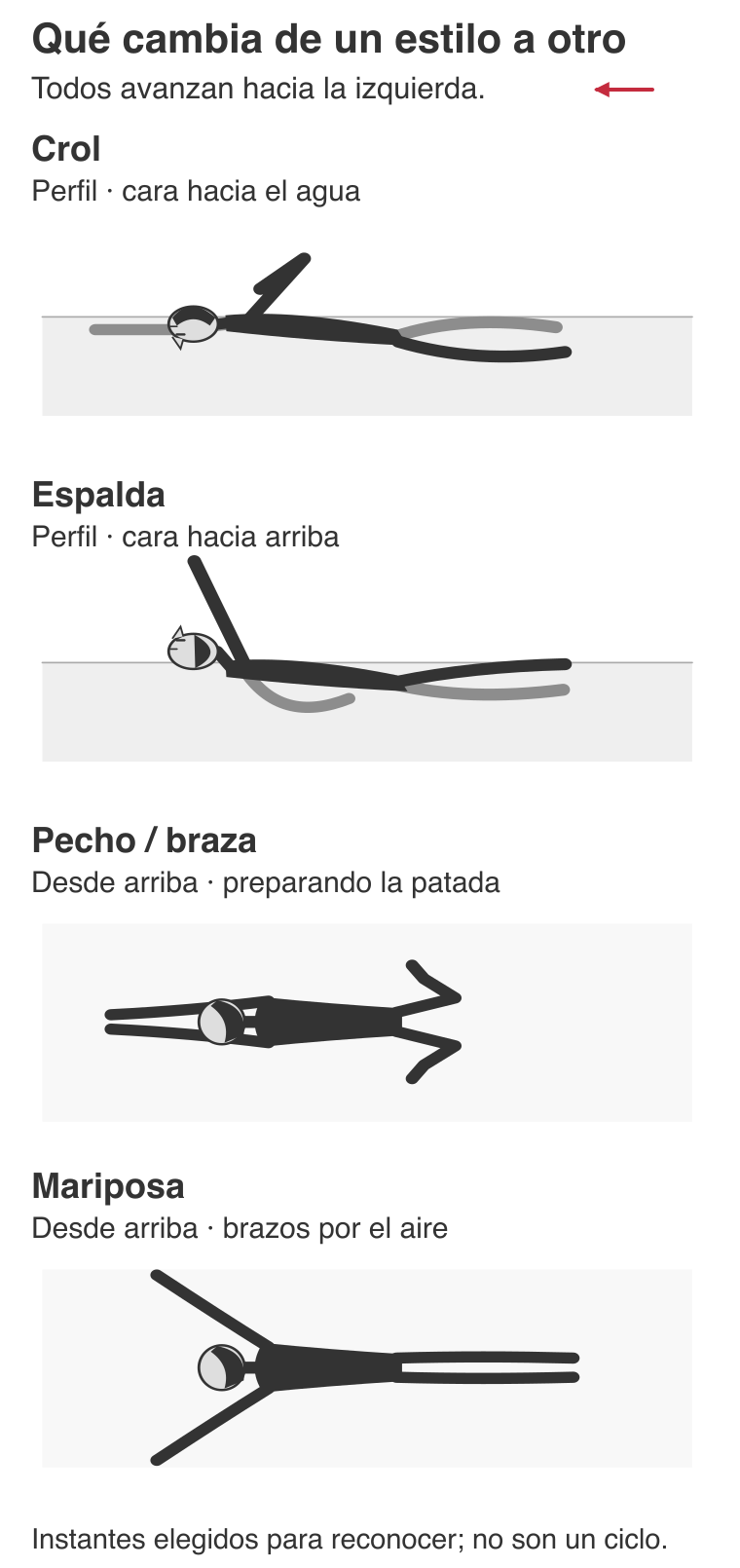 Comparación: crol y espalda de perfil, con la cara debajo y encima del agua respectivamente; pecho desde arriba con talones recogidos; mariposa desde arriba con brazos abiertos en el aire.