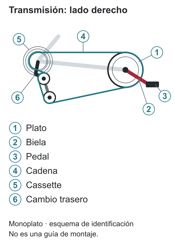 Transmisión vista desde el lado derecho con seis llamadas: plato, biela, pedal, cadena, cassette y cambio trasero.