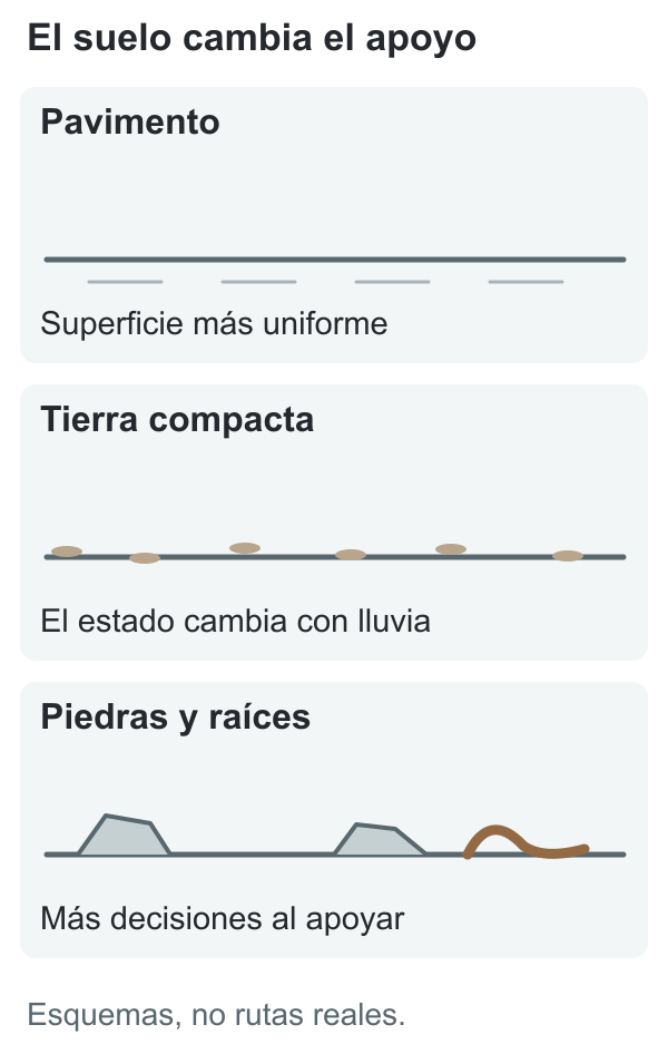 Comparación esquemática de pavimento uniforme, sendero de tierra y terreno con piedras y raíces.