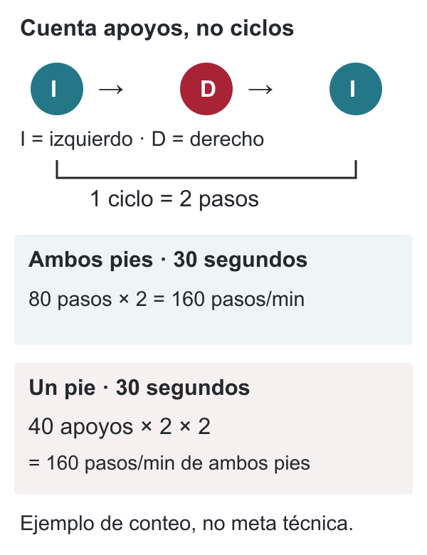 Secuencia de apoyos izquierdo, derecho e izquierdo; entre dos apoyos izquierdos hay dos pasos. Dos métodos de conteo producen 160 pasos por minuto.