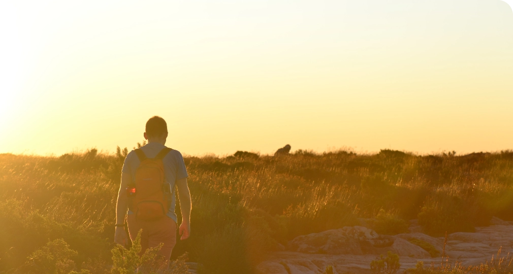 The difference between hiking and walking