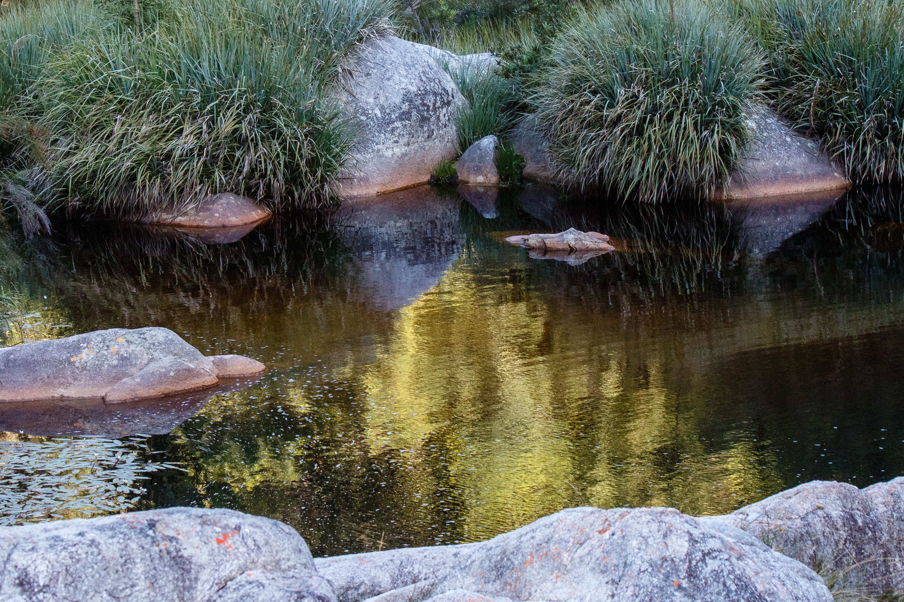 Knysna Forest and Coastal Walks