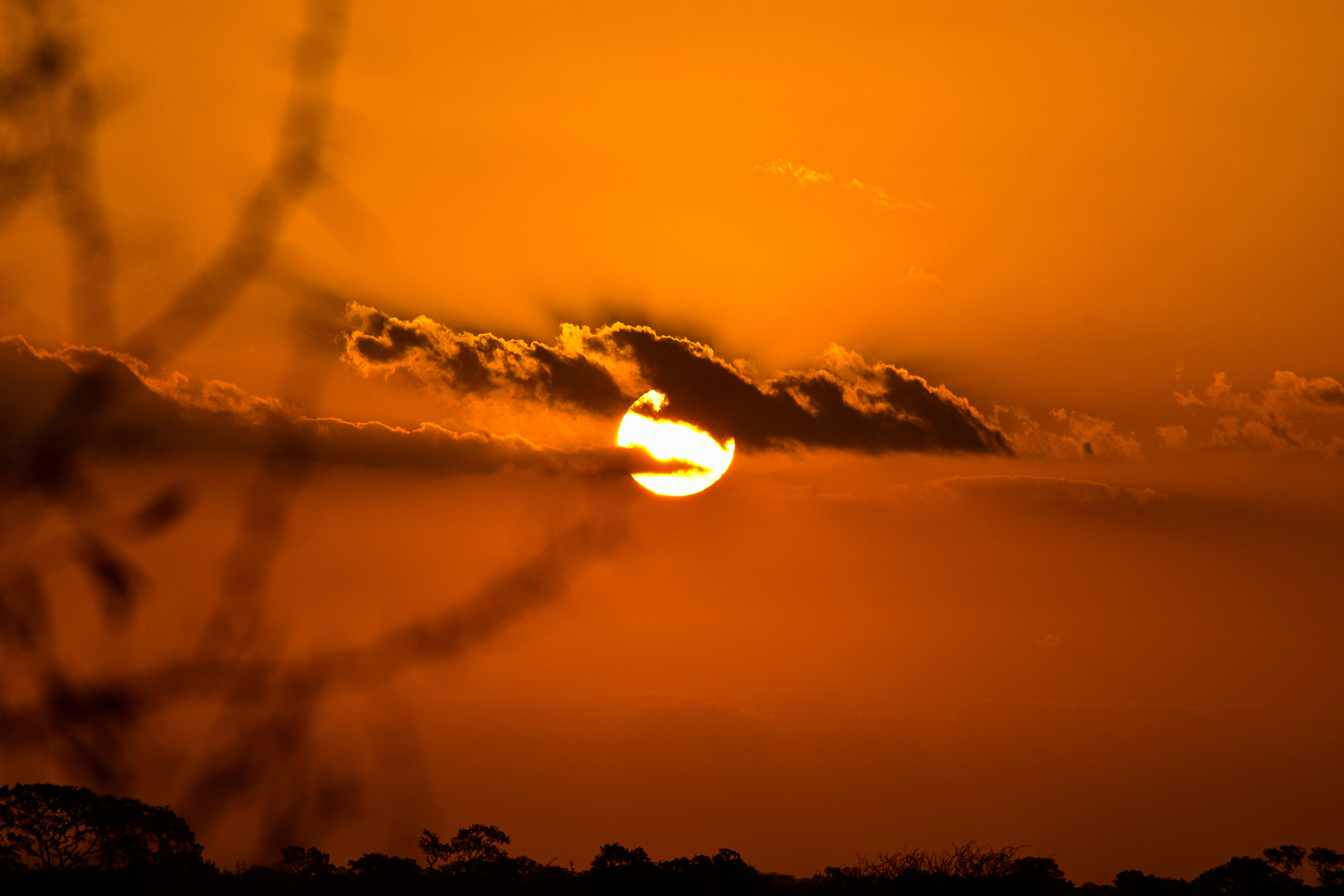 Kruger and Canyon Hikes