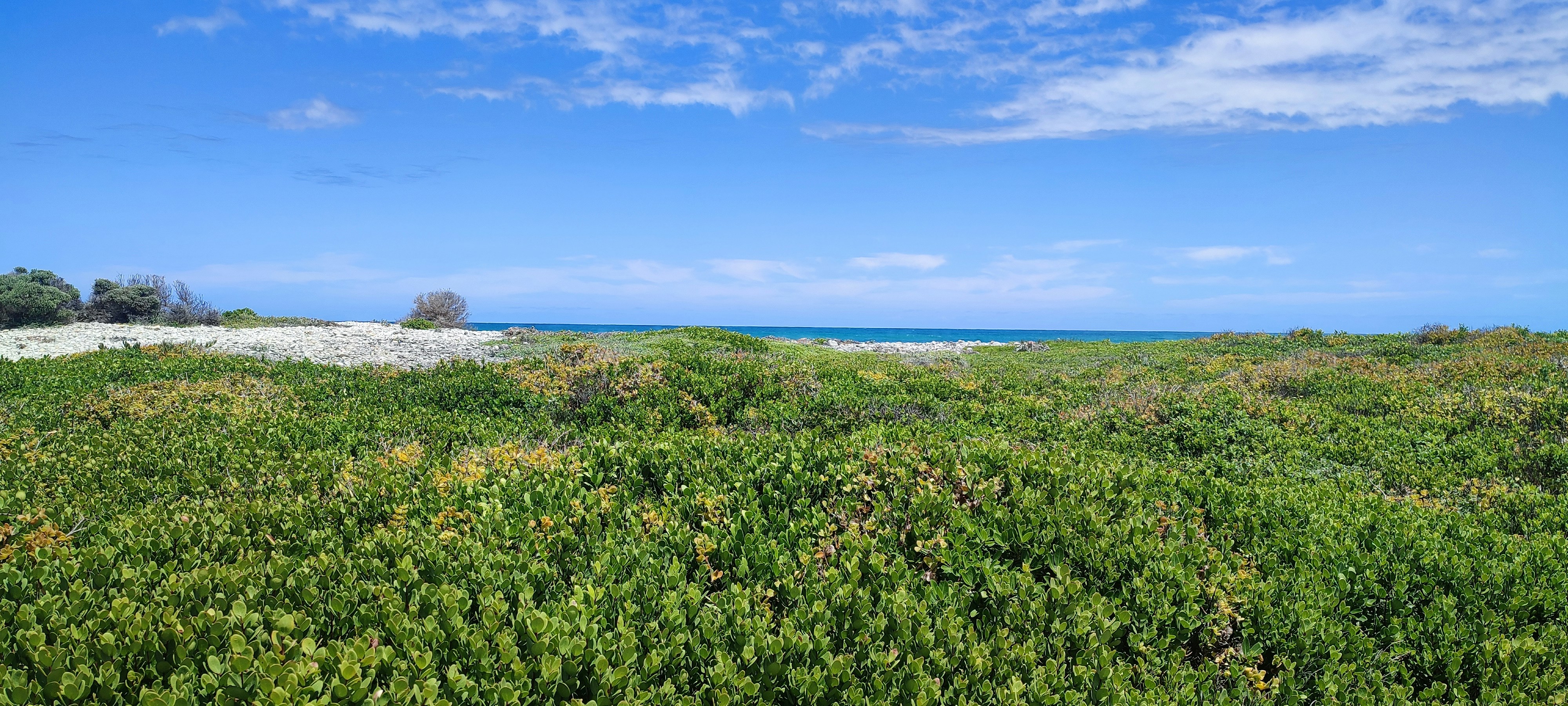 Southernmost Walk