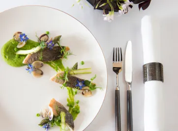 Artistic gourmet meal.