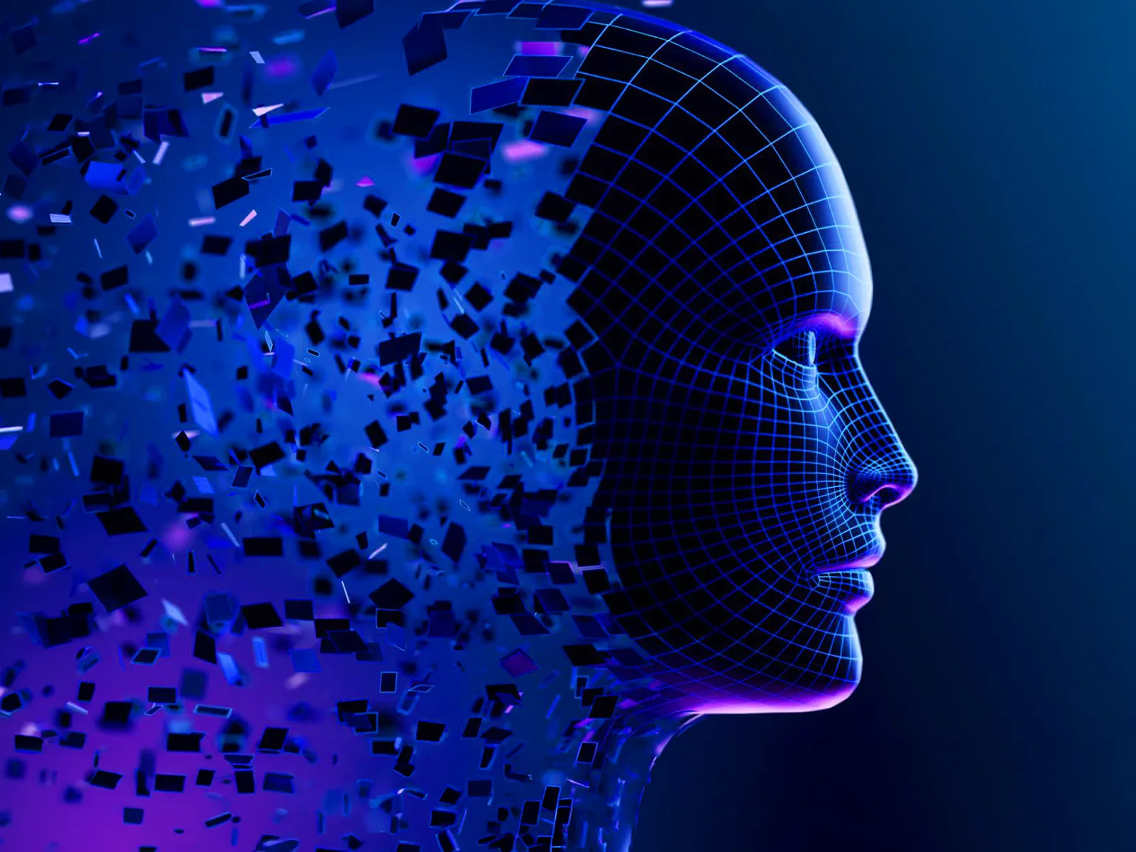 How Companies Can Compete in an AI-Native World