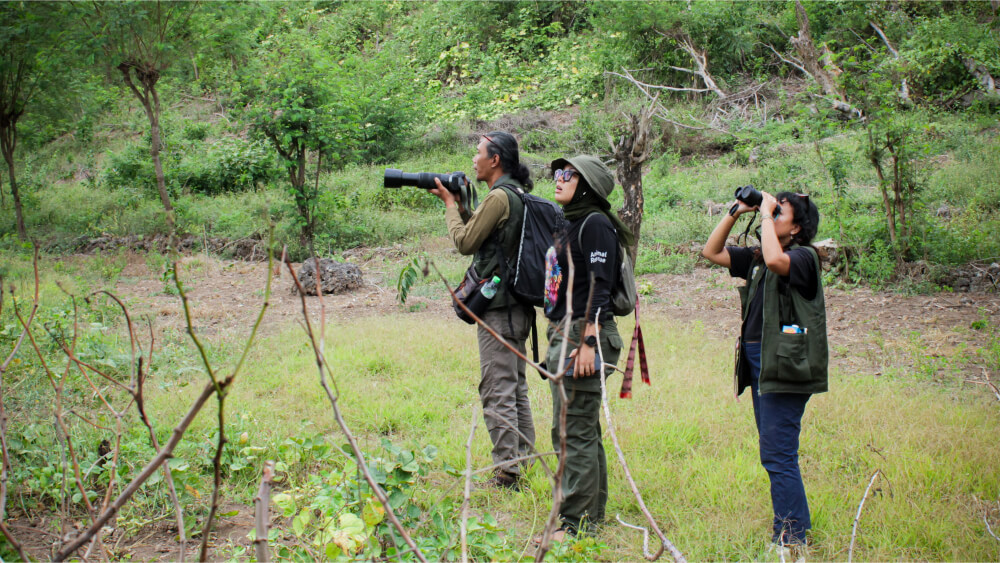 Three people standing in an open and green field. They're holding binoculars and trying to spot birds.