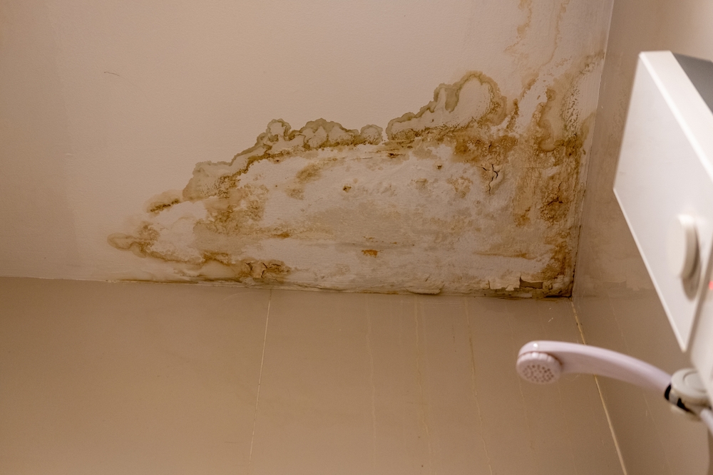 Ceiling corner with brown water damage stains and peeling paint near a white showerhead.