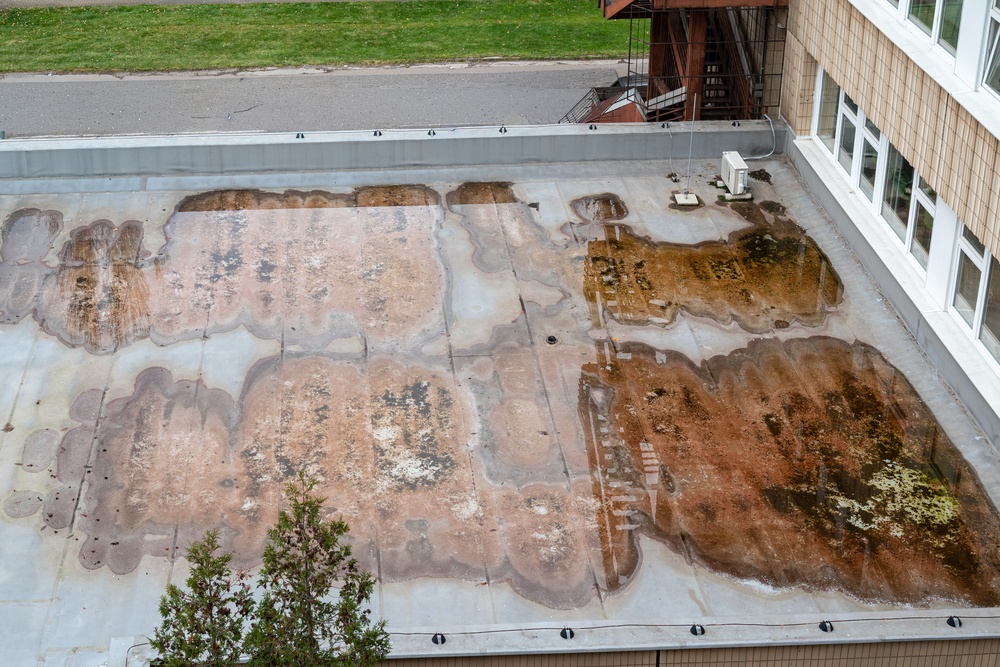 Flat building roof with large patches of brown stains and wet areas, adjacent to a lawn and windows.