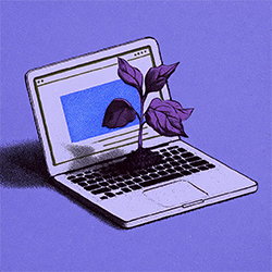 Ein Pflanze wächst aus einem Laptop als Symbol für erfolgreiche Websites