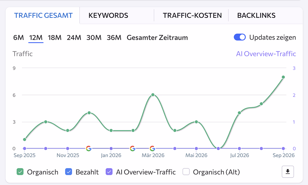Ausschnitt einer Traffic Analyse von Google Search Console