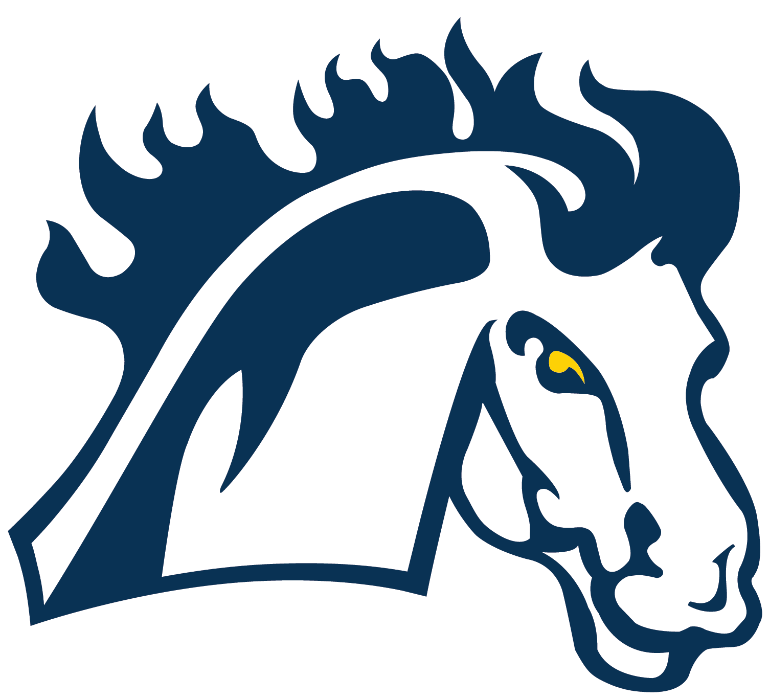 Mount Mercy University