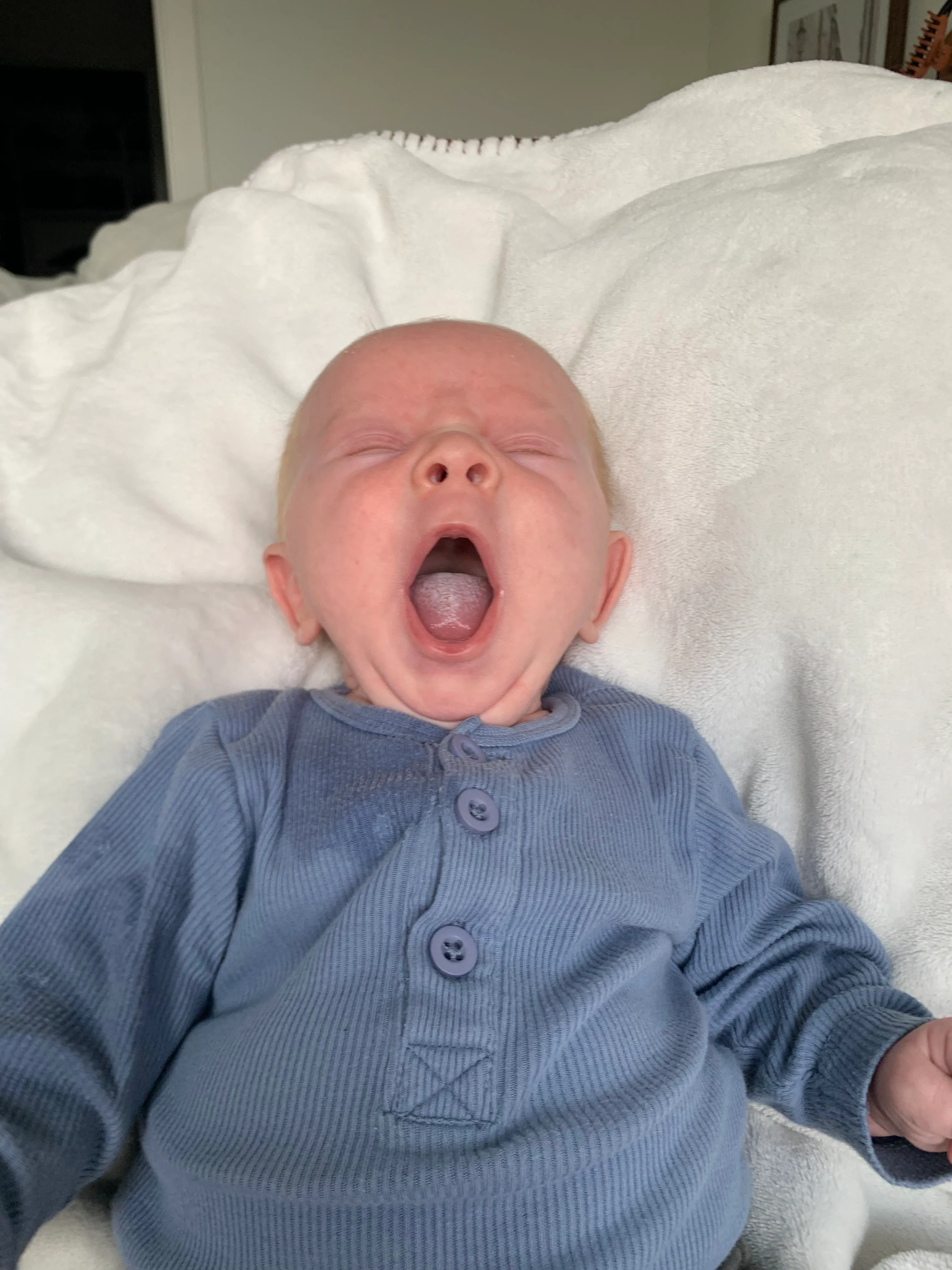 Six weeks before the move!