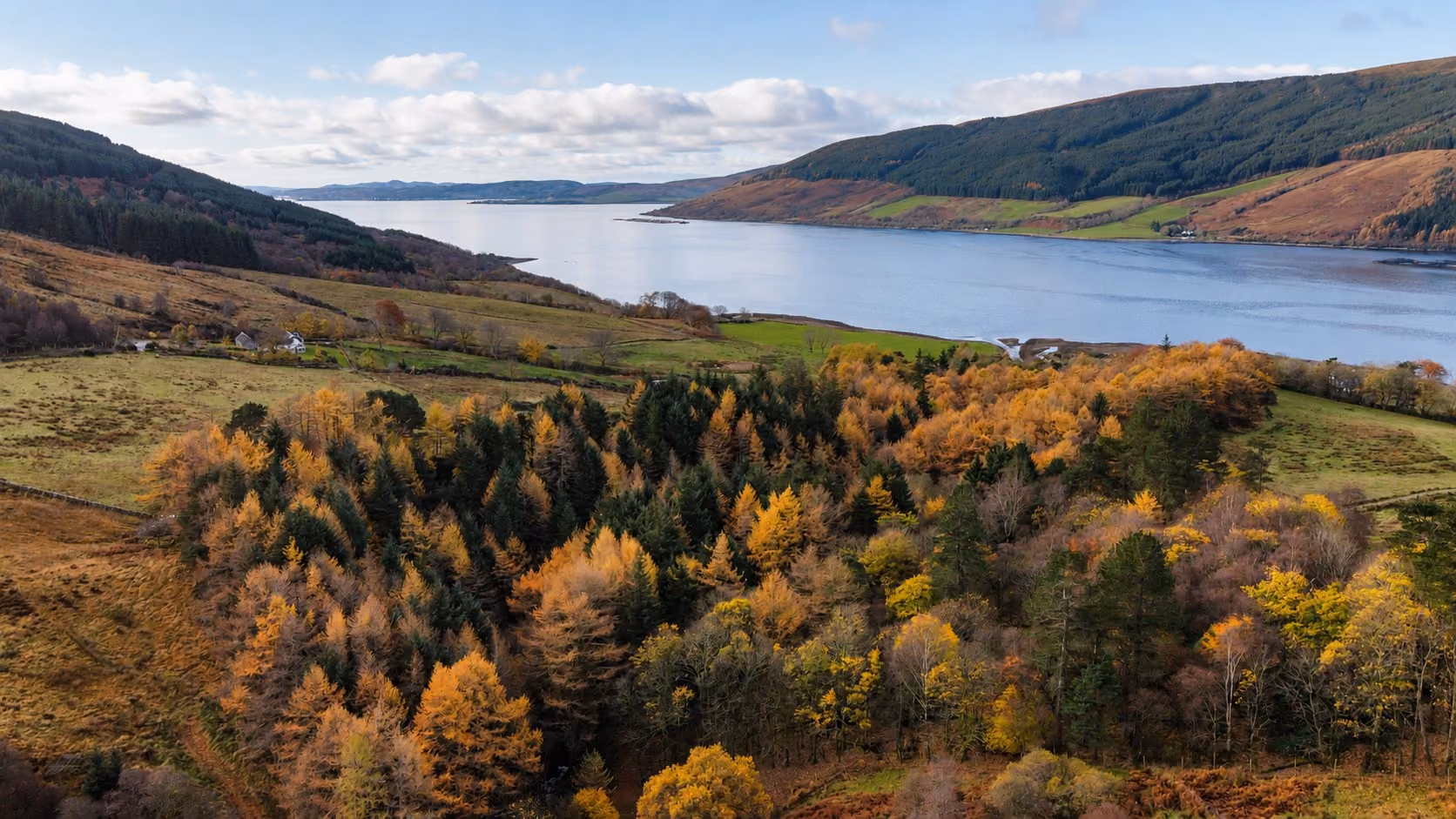 Forestry Services