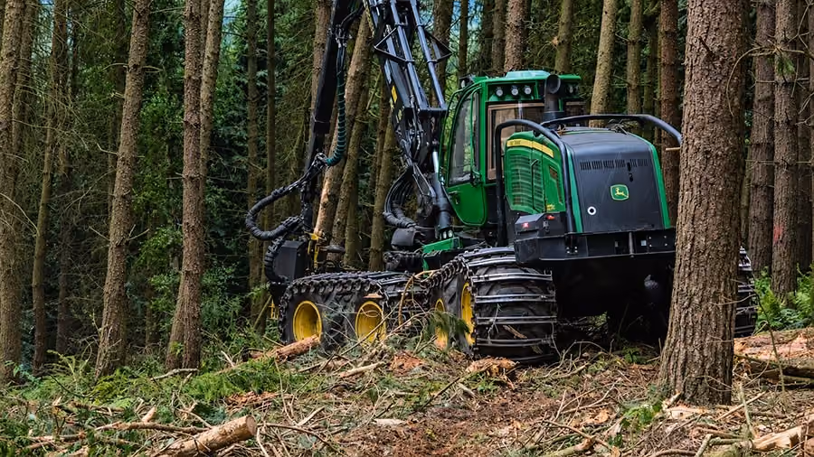 Timber Harvesting & Marketing