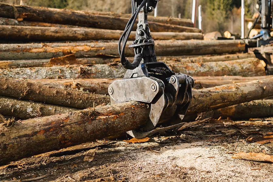 Timber Harvesting & Marketing