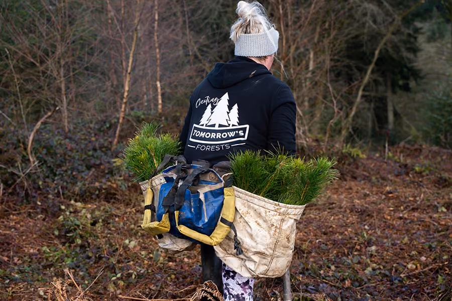 Woodland Creation & Establishment