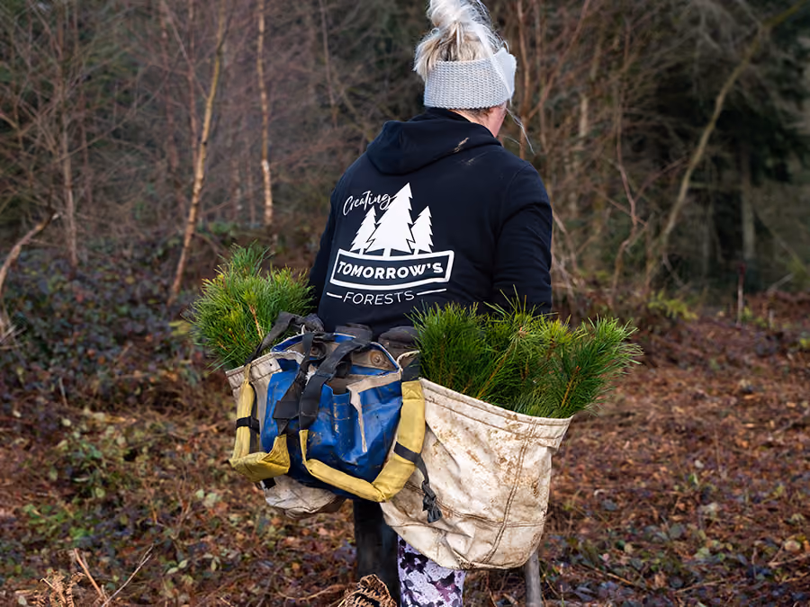 Woodland Creation & Establishment