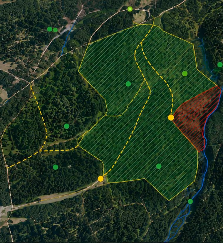 GIS & Mapping Services